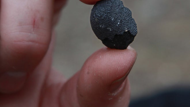 tiny meteorites from gaint fireball AP 2.jpg